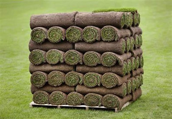 quality lawn turf