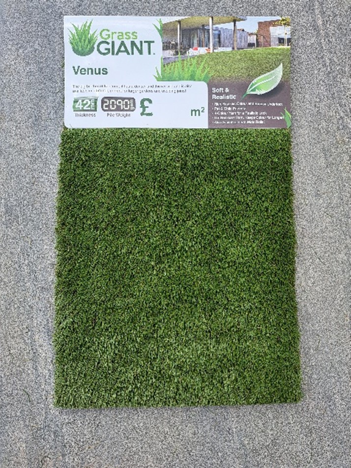 Artificial Grass Example