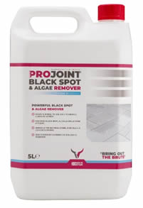 projoint_black_spot_remover